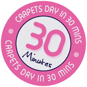 Carpets are dry in 30 minutes Carpets are dry in 30 minutes