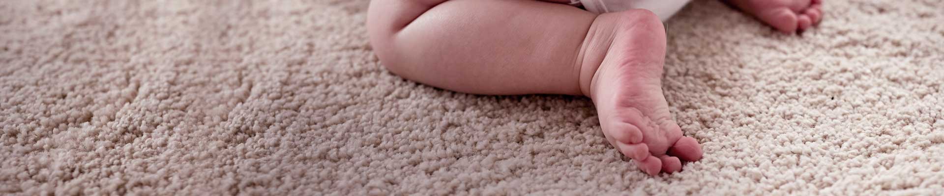 Domestic Carpet Cleaning