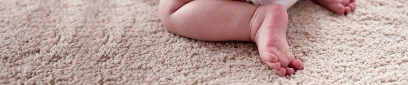 Domestic Carpet Cleaning