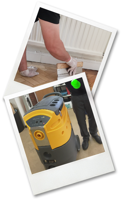 Carpet Cleaning & Wood Floor Restoration