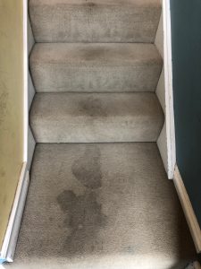 Cleaning your carpet with soap.