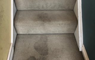 Cleaning your carpet with soap.