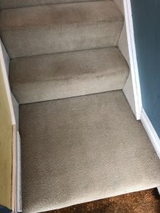 carpet cleaning Clevedon